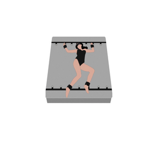 Under Bed Restraint System