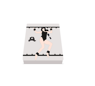 Under Bed Restraint System